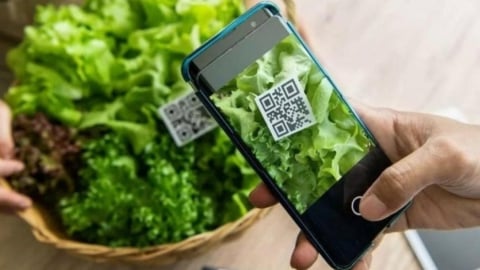 Minh bạch hóa thông tin nâng giá trị sản phẩm nông nghiệp: Chìa khóa phát triển bền vững trong kỷ nguyên số