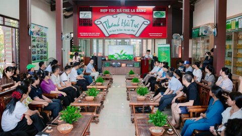 Vùng chè La Bằng nâng chất lượng, xây dựng thương hiệu