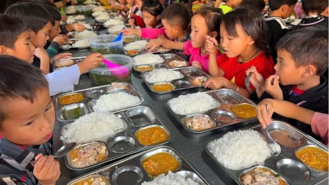 Hoàn thiện Nghị định về miễn, giảm học phí; hỗ trợ bữa trưa cho học sinh biên giới