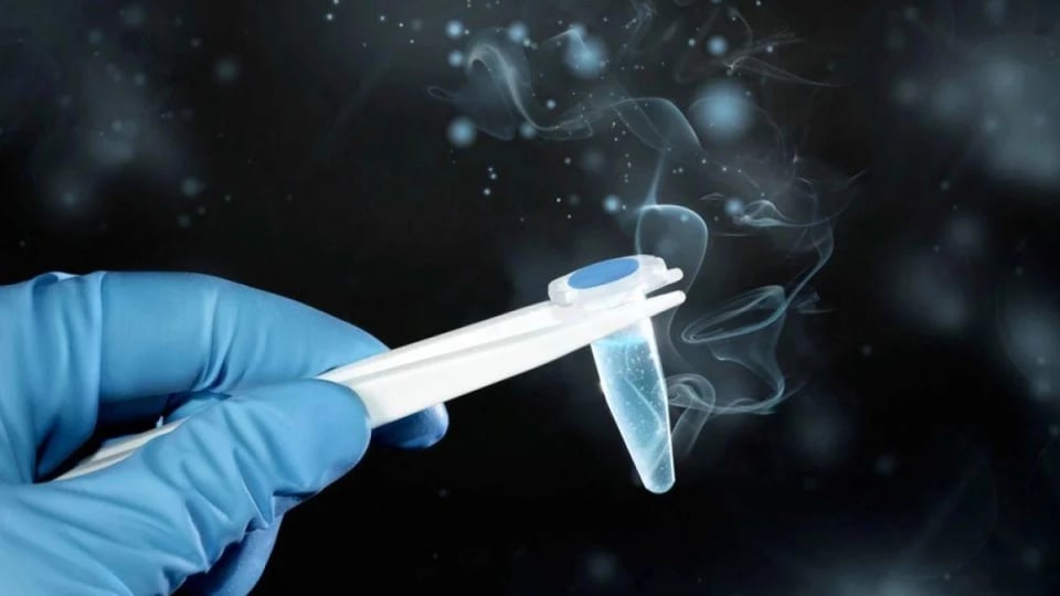 Legal Status of Cryopreserved Embryos in the Context of Divorce: A Comparative Approach from International Practice
