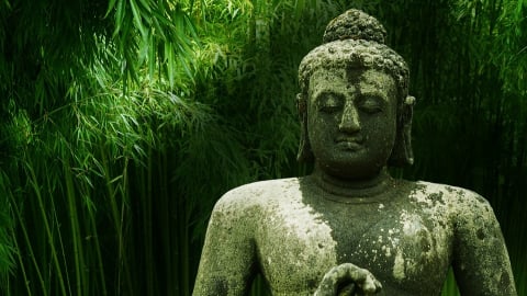 Kinh Hoa Nghiêm: Phẩm Vô-Tận-Tạng Thứ Hai Mươi Hai (tập 2)