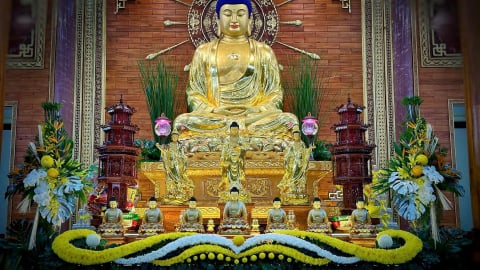 Kinh Hoa Nghiêm: Phẩm Như Lai Tùy Hảo Quang Minh Công Ðức Thứ ba mươi lăm (tập 3) 