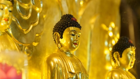 Kinh Hoa Nghiêm: Phẩm Ly Thế Gian Thứ ba mươi tám ( tập 3) 