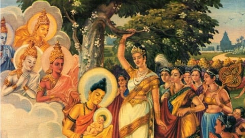 Chư Phật đản sinh… Liên hệ giữa kinh A Hàm và Thiền tông