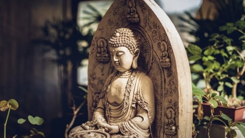 Phật dạy nhân quả báo ứng