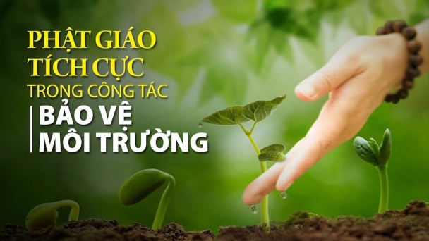 Trách nhiệm toàn cầu và vấn đề môi trường