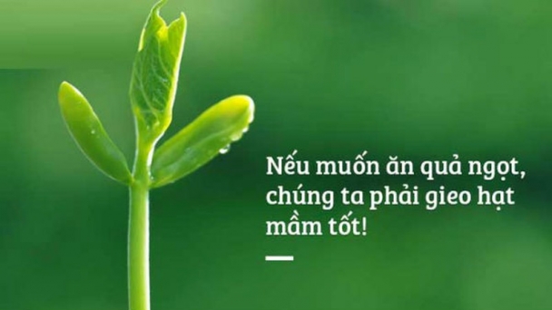 Sống trên đời nêu hiểu rõ luật nhân quả để thay đổi số mệnh của mình