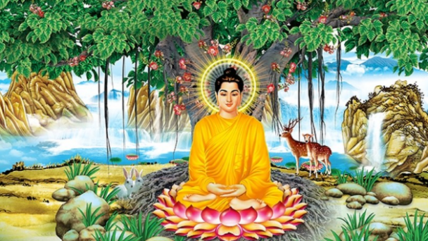 Dòng sông tâm thức: Thiền (III)