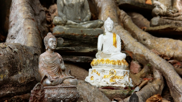 Lời Phật dạy về Chánh tinh tấn trong Kinh Bồ Đề Vương Tử