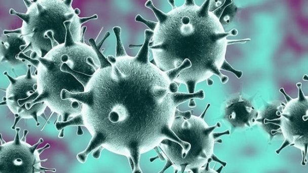 Mối nguy từ sự trỗi dậy của các loại virus mới