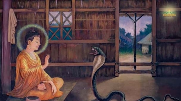 Chuyện rắn nghe Kinh Phật