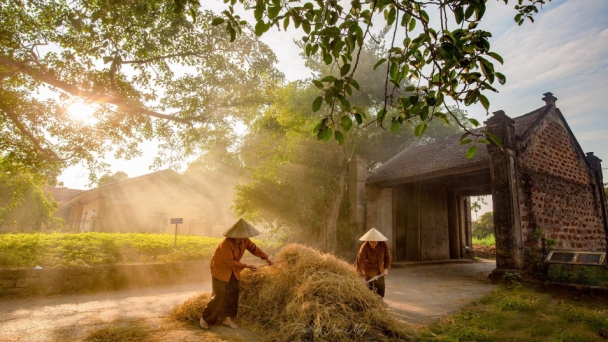 Chẳng ai tựa vào đám đông xô bồ mà bình yên được cả đời