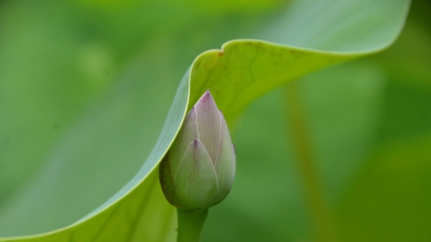 Năm mới ta cũng mới