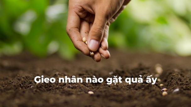 Nhân quả ở đâu?