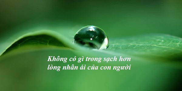 101 câu chuyện thiền: Không có lòng nhân