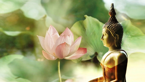 Hoa khai kiến Phật ngộ vô sanh