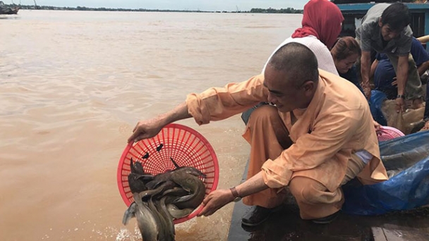 Niệm Phật, ăn chay và phóng sanh