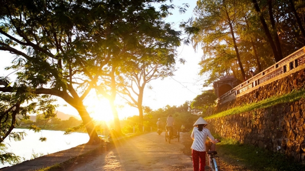 Vạt nắng chiều tỏa hương