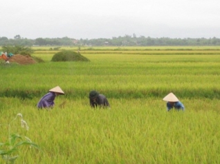 Nghiên cứu về các kinh điển Phật giáo phải thấu hiểu được các truyền thống văn hóa