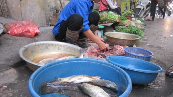 Ăn chay trường mà mua thịt cá nấu cho gia đình ăn có tội không?