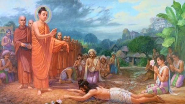 Giải mã Hệ thống Pháp nhân duyên Thánh lý Cứu khổ (P.7)