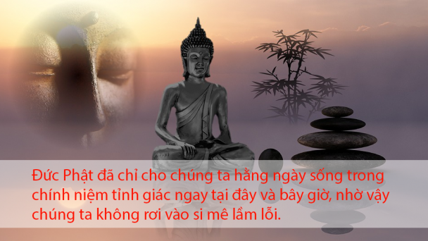 8 điều tôn kính Phật