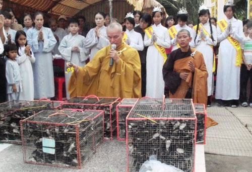 Mùa Vu lan: Phóng sinh thế nào cho đúng? 