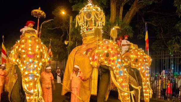 Tưng bừng lễ rước răng Phật lớn nhất trên đường phố Sri Lanka