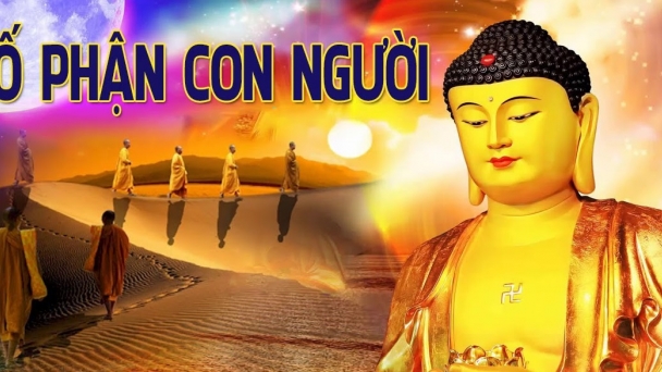 Người chân voi hay câu chuyện nhân quả