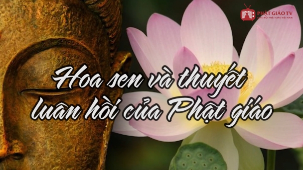 Hoa sen và thuyết luân hồi của Phật giáo