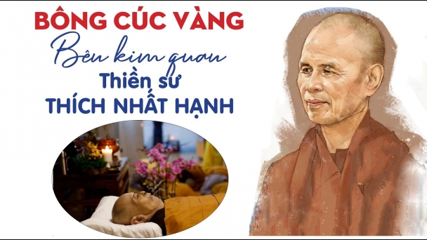 Đóa cúc vàng bên kim quan Thiền sư Thích Nhất Hạnh