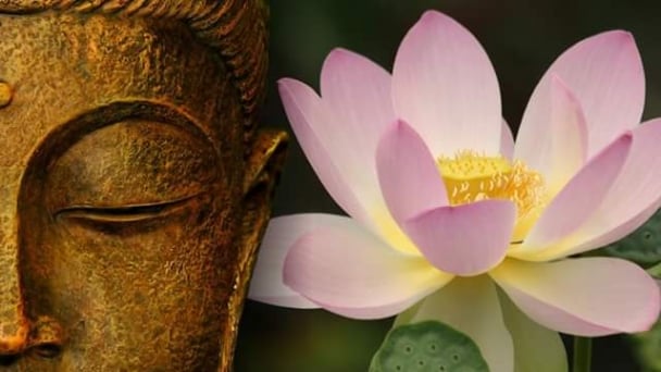 Phật dạy: Đam mê cờ bạc có sáu nguy hiểm