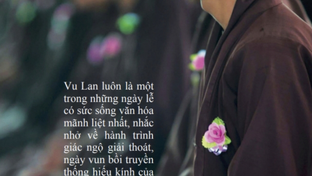 Những ân tình trong đời