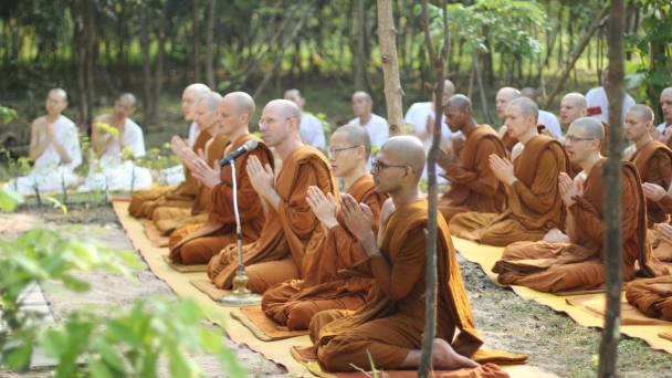 Phật dạy: “Các Tỳ kheo nên thường học Pháp thí”