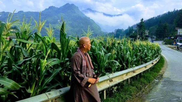 Vô thường nuôi lớn con đường hiểu thương