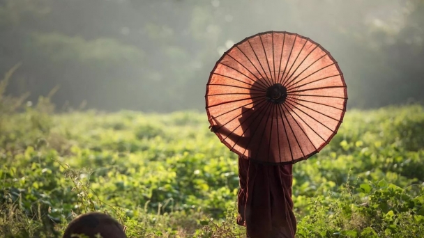 Nguyên nhân động tâm ái dục