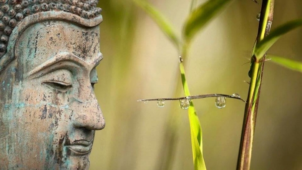 Sự nhẫn nại và lòng từ bi vô biên của Đức Phật