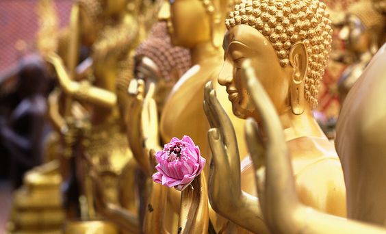Phật dạy: Luôn lấy trung đạo làm chính mới thành tựu