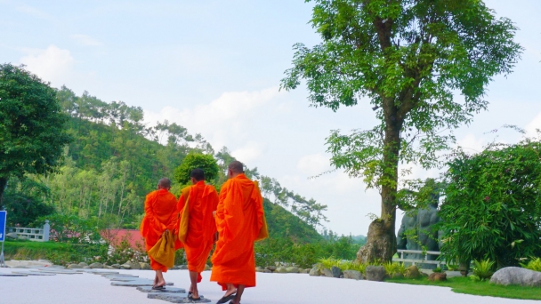 Đến đi, sanh diệt là sự vận hành hoàn hảo của Pháp