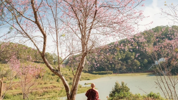 Nếu đủ duyên, ta sẽ tương phùng