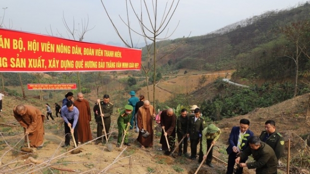 Lào Cai: Phật giáo bàn giao quế giống cho dân