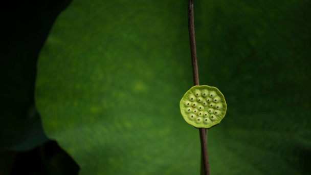 Hội luận: Góc nhìn (9)