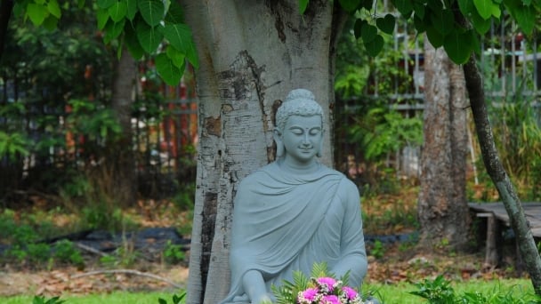 Đức Phật ngồi thiền định dưới cội Bồ-đề suốt bốn mươi chín ngày đêm?