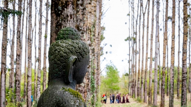 Đất lành chim đậu