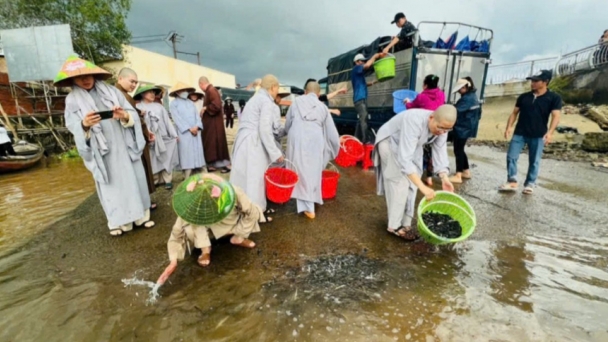 Chùa Thiên Phước (Vĩnh Long) vận động thả 2 tấn cá giống tái tạo nguồn lợi thủy sản