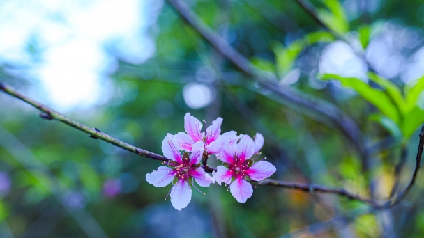 Biết thương mình để yêu thương trần gian