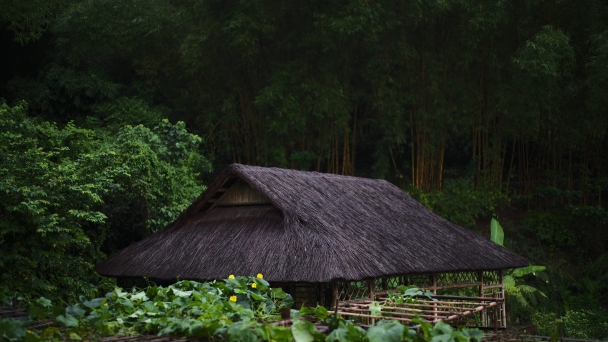 Sự thấu hiểu luôn là bước đầu tiên để yêu thương và giúp đỡ