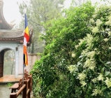 Ngắm khung cảnh thanh tịnh của chùa Hương Tích, Hà Tĩnh