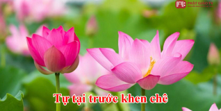 Tự tại trước khen chê