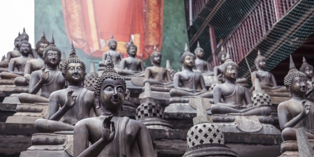 Mừng Phật đản, nghĩ về Thiền Tông